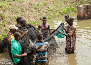Bénin : un appui décisif du Fonds africain de développement préserve des jeunes ruraux du chemin de l’émigration clandestine vers l’Occident