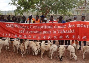 Tabaski : Le Consortium SMB-WINING distribue 294 têtes de moutons à plus de 200 villages des préfectures de Boké et Télimélé