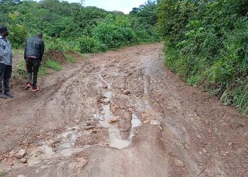 Boké – Infrastructures : le tronçons N’Dantary-Lambanyi dans un état impraticable