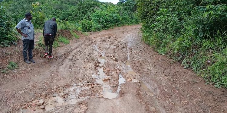 Boké – Infrastructures : le tronçons N’Dantary-Lambanyi dans un état impraticable