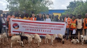 Boké – Humanitaire : La SMB offre des moutons aux communautés impactées par ses travaux et aux autorités
