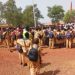​Boké – Assainissement : L’ANASP mobilise les milieux scolaires pour un environnement sain