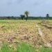 Boké-Mines : la Société TBEA-Ouest Africa Port And-Holding/WAPH lance les opérations d’implantation des infrastructures minières dans un climat apaisé
